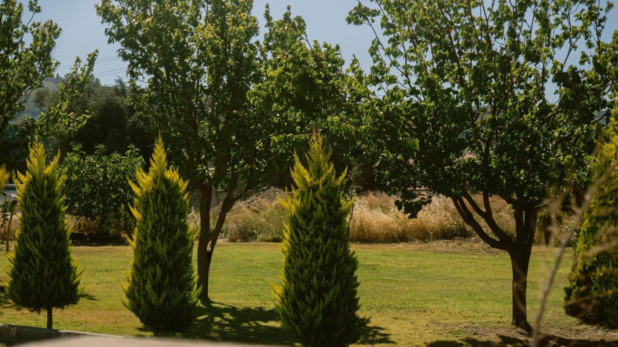 Vela Garden Resort Чесме Екстериор снимка